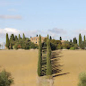 Meet your Posher, Ann